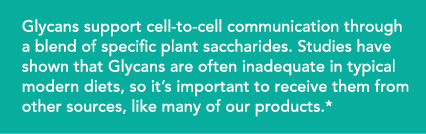 Glycans support cell-to-cell communication through a blend of specific plant saccharides. Studies have shown that Gly...
