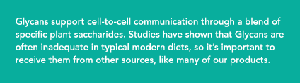  Glycans support cell-to-cell communication through a blend of specific plant saccharides. Studies have shown that Gl...