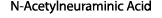 N-Acetylneuraminic Acid