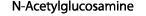 N-Acetylglucosamine