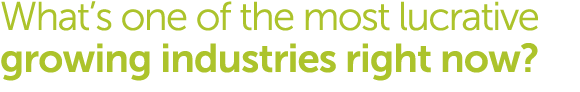 What s one of the most lucrative growing industries right now 