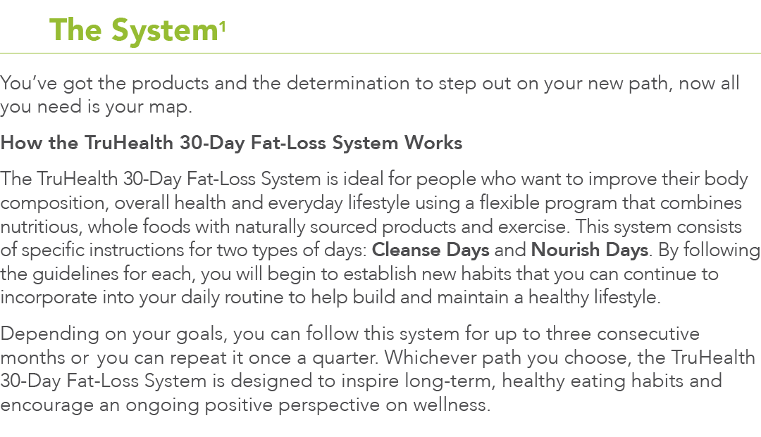  3 The System1 You ve got the products and the determination to step out on your new path  now all you need is your m   