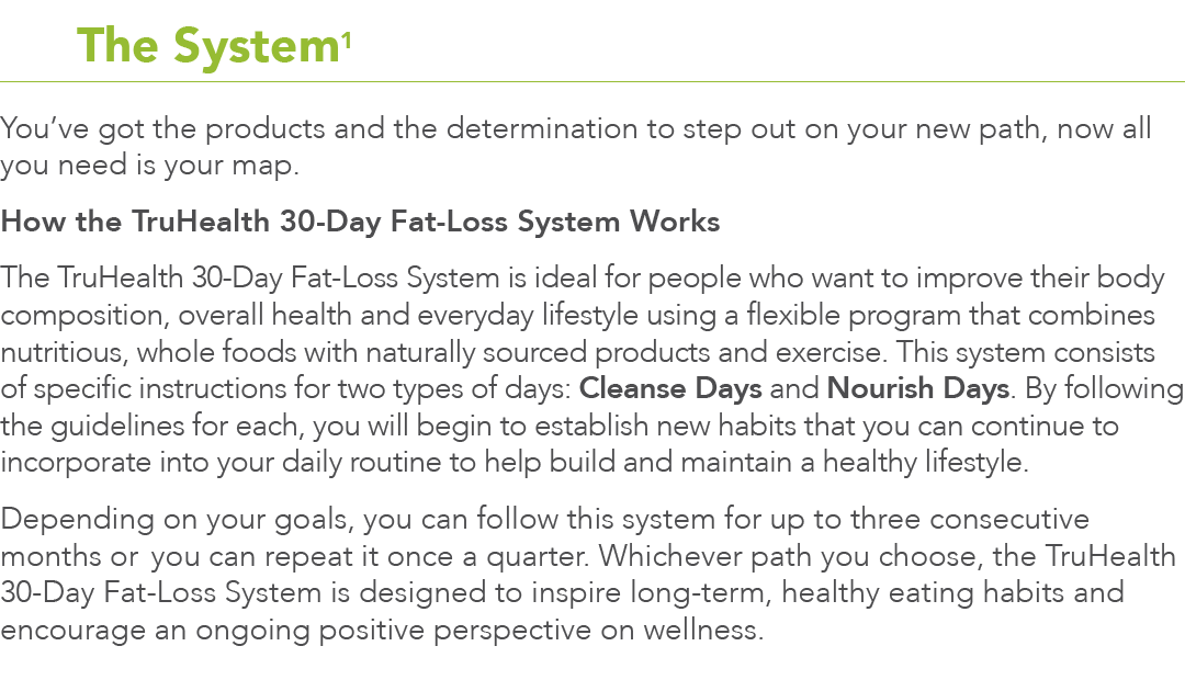  3 The System1 You ve got the products and the determination to step out on your new path, now all you need is your m   