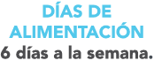 D AS DE ALIMENTACI N 6 d as a la semana 